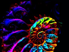 View Fract by AngelSEVA Fract by AngelSEVA