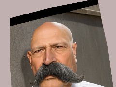View Aschberg mustasche by JoyfulFlatBedTruck Aschberg mustasche by JoyfulFlatBedTruck