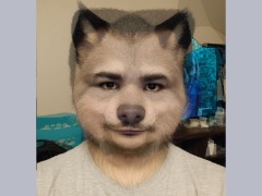 View AI Wolf Morph 5 by Morphwolf34 AI Wolf Morph 5 by Morphwolf34