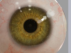 View Human eyeball by Degenerative_ai Human eyeball by Degenerative_ai