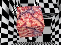 View CUBE-5 by Jollygood CUBE-5 by Jollygood