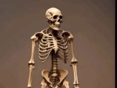 View Je Danse Le Cha Cha Cha by TontonChaton Je Danse Le Cha Cha Cha by TontonChaton