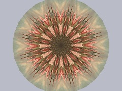 View Roses by Vophsigem Roses by Vophsigem