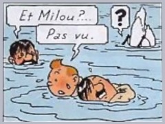 View Tintin Sauve Hitler De La Noyade by Gobbo Tintin Sauve Hitler De La Noyade by Gobbo